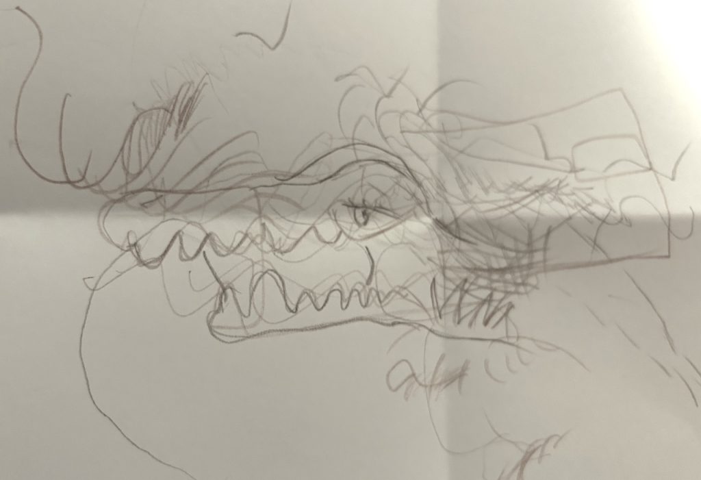 disegno drago